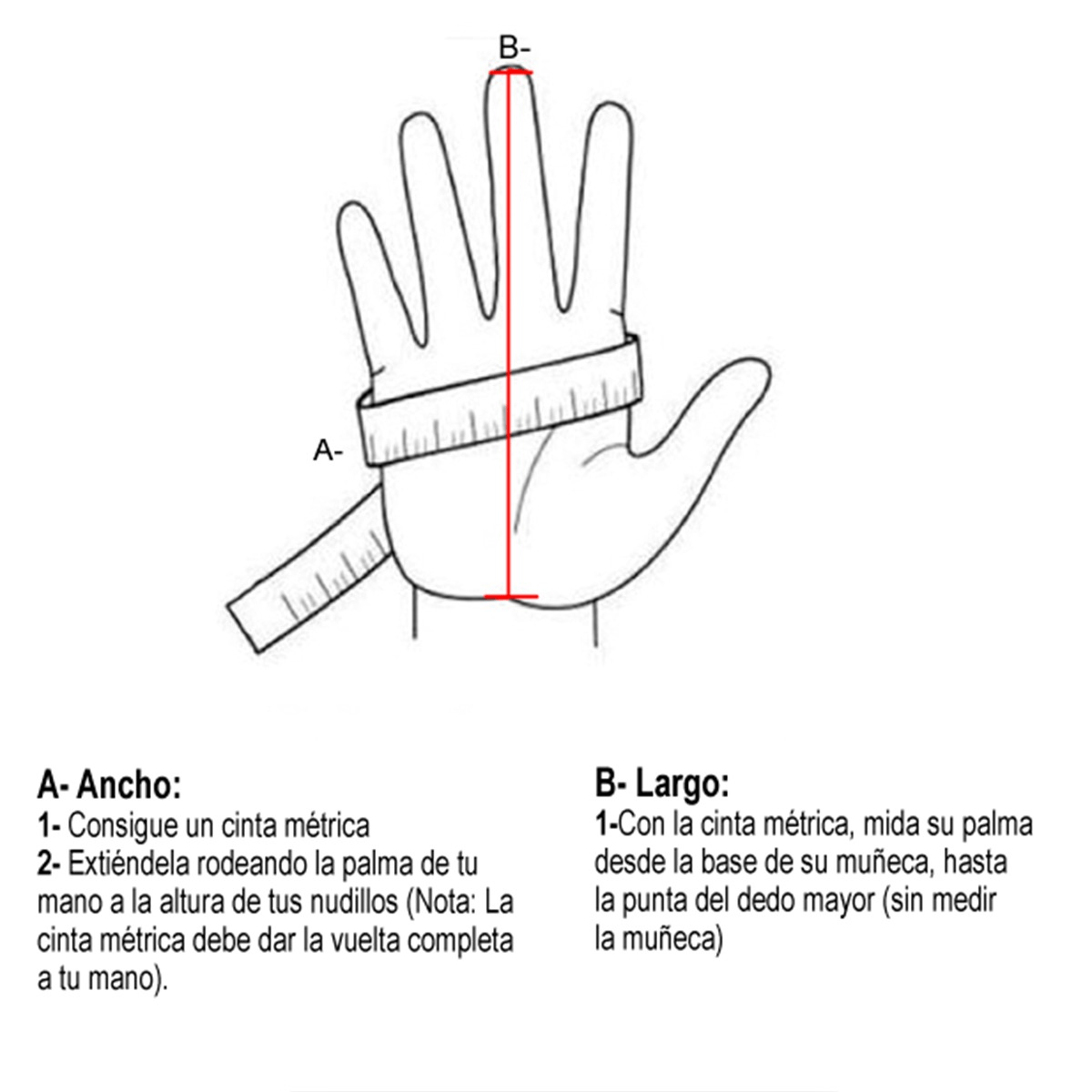 Tabla de talles ' + gen + '