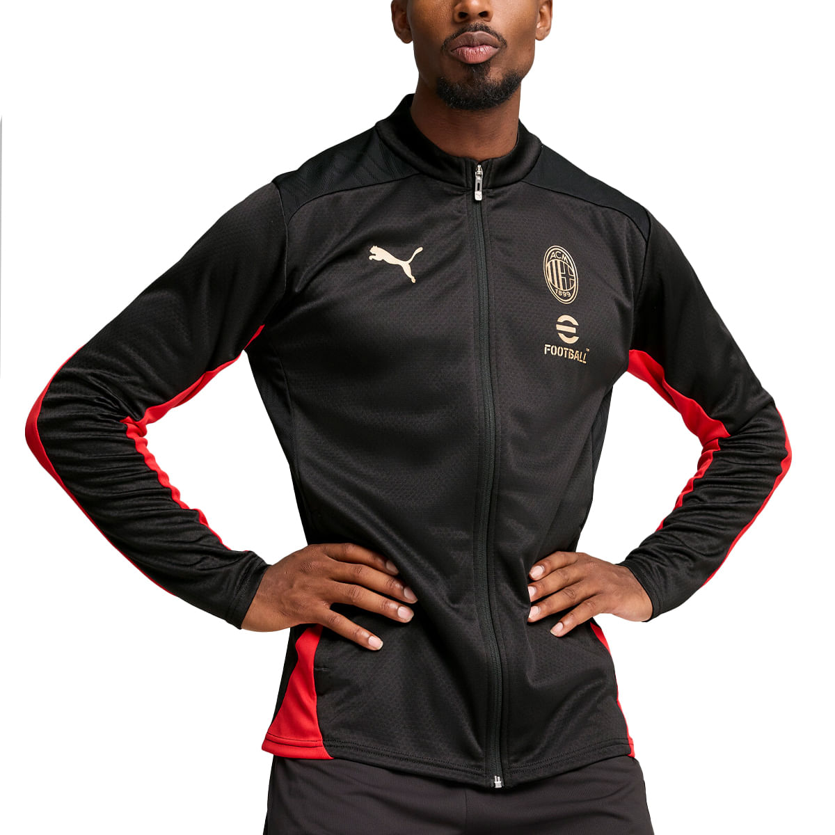 Campera Ac Milan Puma Entrenamiento 24/25 Hombre — imagen 3